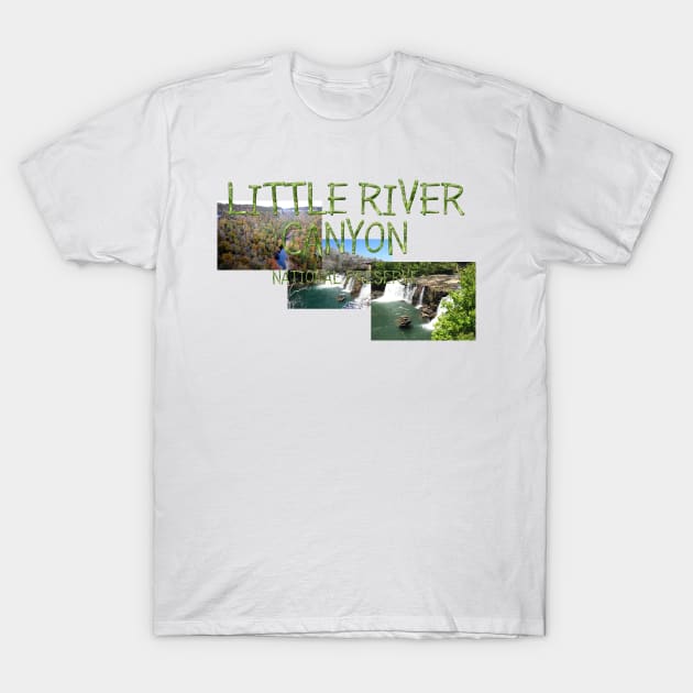 Little River Canyon National Preserve T-Shirt by teepossible